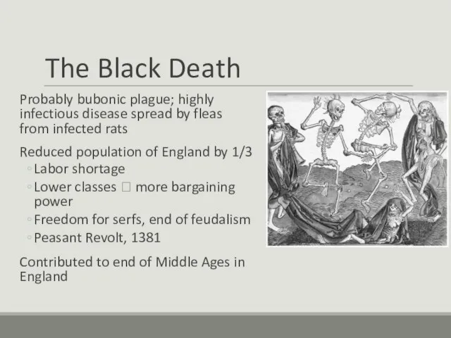 The Black Death Probably bubonic plague; highly infectious disease spread by fleas