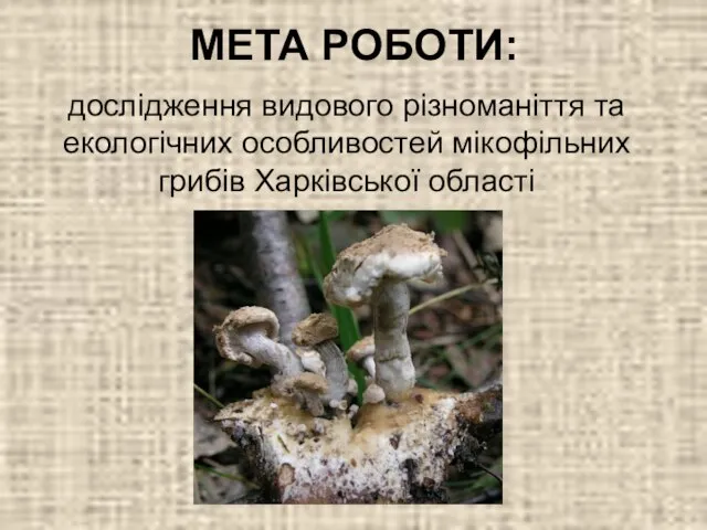 МЕТА РОБОТИ: дослідження видового різноманіття та екологічних особливостей мікофільних грибів Харківської області