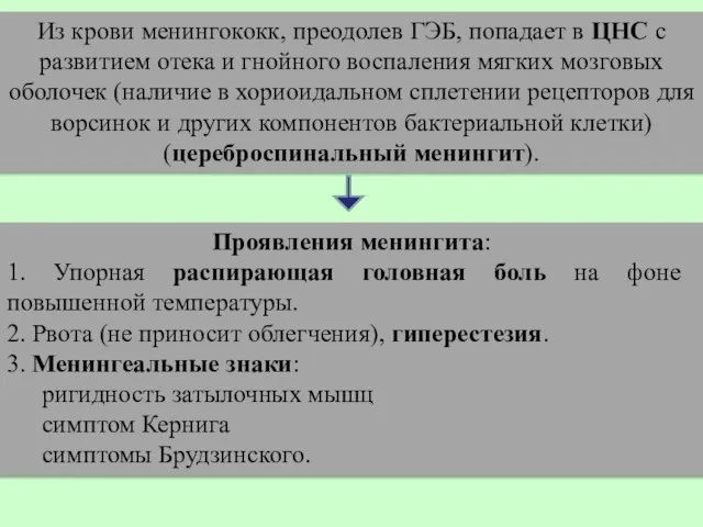 Из крови менингококк, преодолев ГЭБ, попадает в ЦНС с развитием отека и