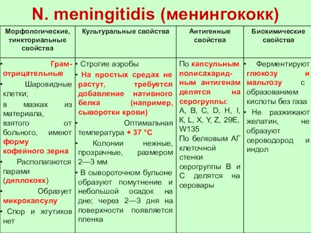 N. meningitidis (менингококк)