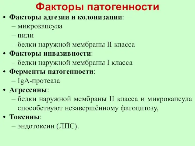 Факторы патогенности Факторы адгезии и колонизации: микрокапсула пили белки наружной мембраны II