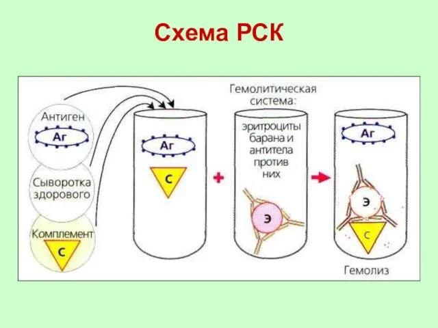 Схема РСК