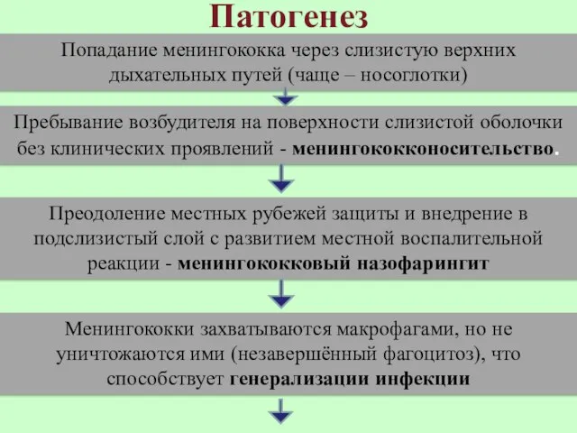 Патогенез Попадание менингококка через слизистую верхних дыхательных путей (чаще – носоглотки) Пребывание