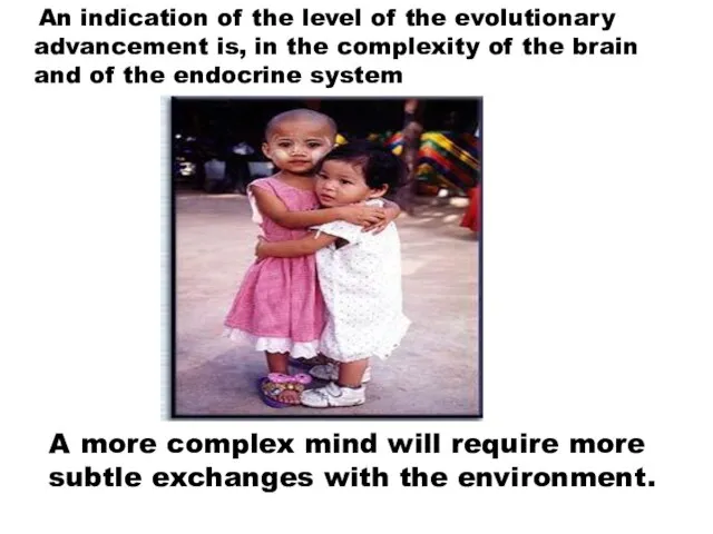 A more complex mind will require more subtle exchanges with the environment.