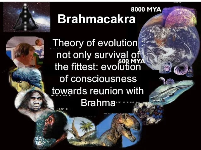 Theory of evolution : not only survival of the fittest: evolution of