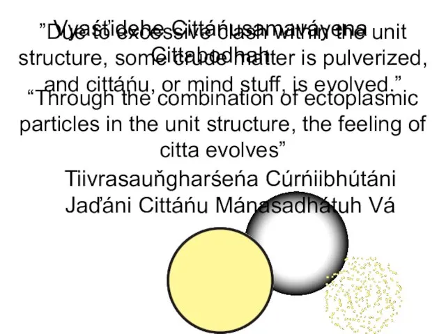 “Through the combination of ectoplasmic particles in the unit structure, the feeling