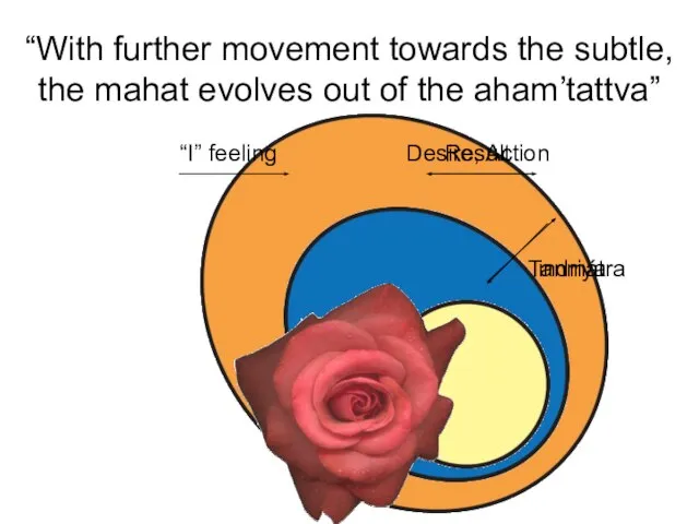 “With further movement towards the subtle, the mahat evolves out of the