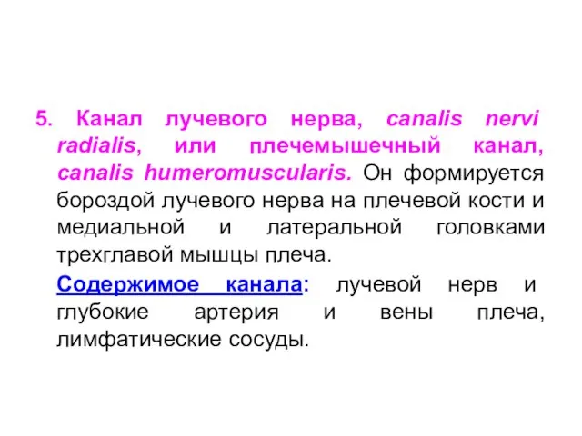 5. Канал лучевого нерва, canalis nervi radialis, или плечемышечный канал, canalis humeromusculаris.