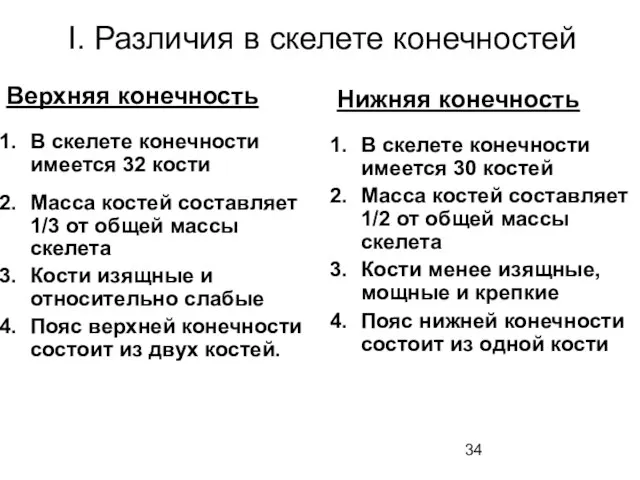 I. Различия в скелете конечностей Верхняя конечность В скелете конечности имеется 32