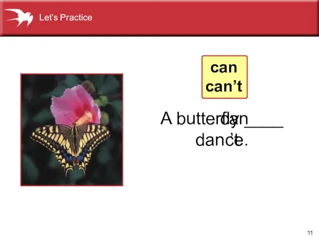 A butterfly ____ dance. can’t can can’t Let’s Practice