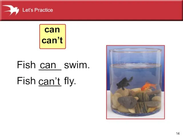 Fish ____ swim. Fish ____ fly. can can’t can can’t Let’s Practice