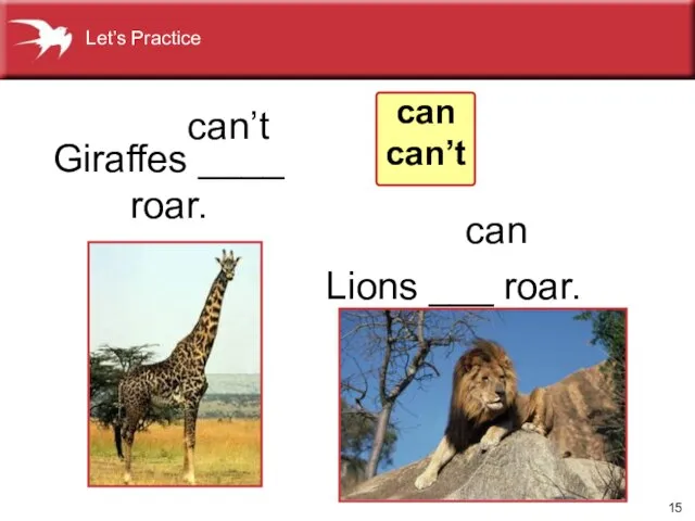 Lions ___ roar. Giraffes ____ roar. can’t can can can’t Let’s Practice