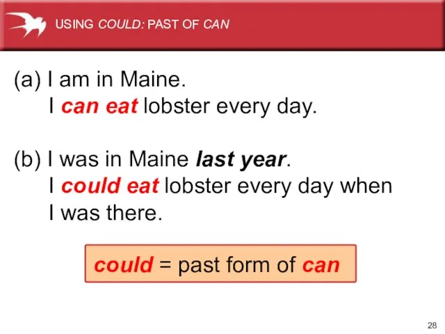 (a) I am in Maine. I can eat lobster every day. (b)