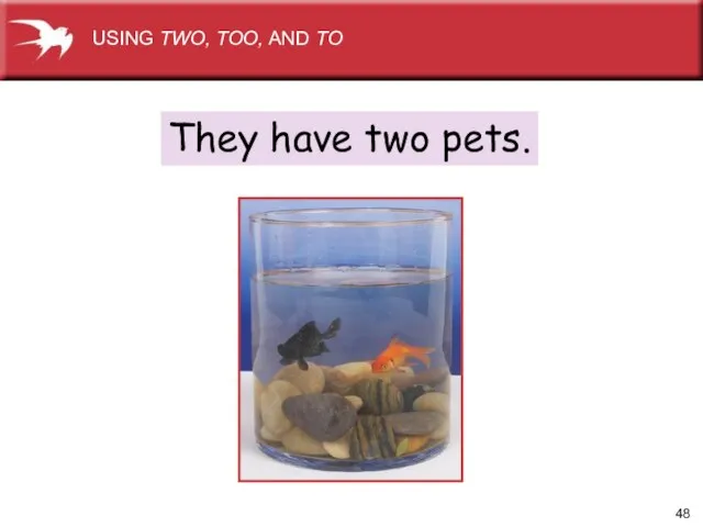 They have two pets. USING TWO, TOO, AND TO