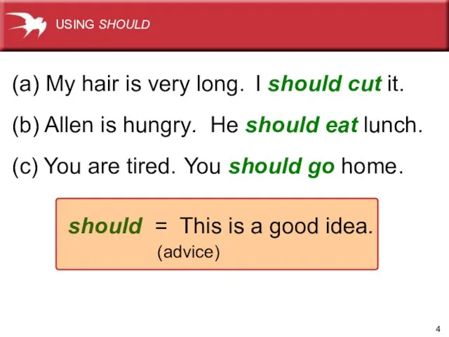 I should cut it. (a) My hair is very long. (b) Allen