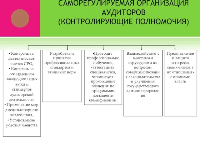 САМОРЕГУЛИРУЕМАЯ ОРГАНИЗАЦИЯ АУДИТОРОВ (КОНТРОЛИРУЮЩИЕ ПОЛНОМОЧИЯ) Контроль за деятельностью членов СРО, Контроль за