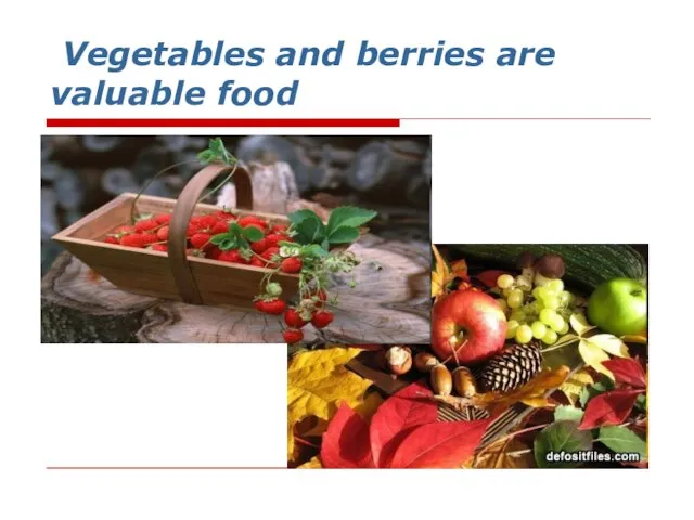 Vegetables and berries are valuable food