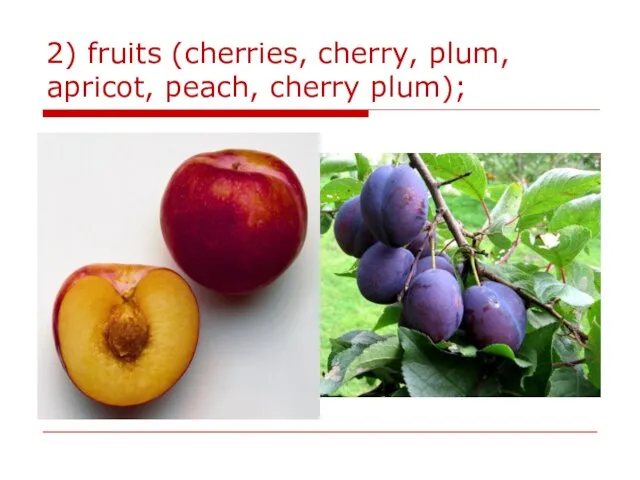 2) fruits (cherries, cherry, plum, apricot, peach, cherry plum);