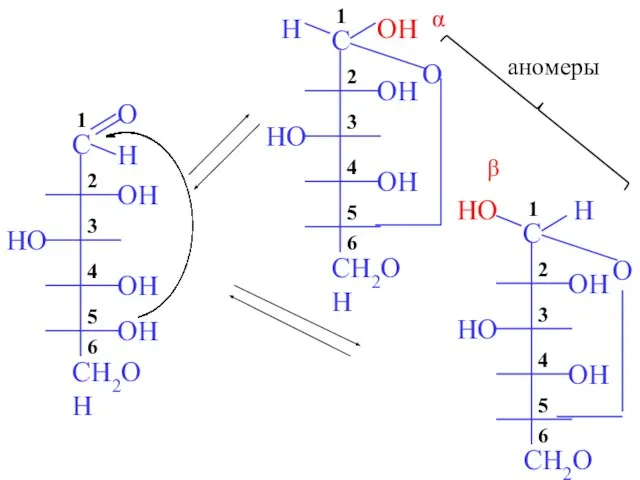 O OH O HO α β аномеры