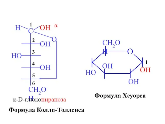 α-D-глюкопираноза OH OH OH HO CH2OH Формула Колли-Толленса Формула Хеуорса 1