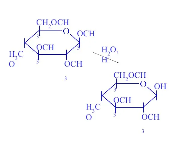 H2O, H+