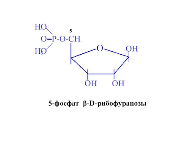 5-фосфат β-D-рибофуранозы 5