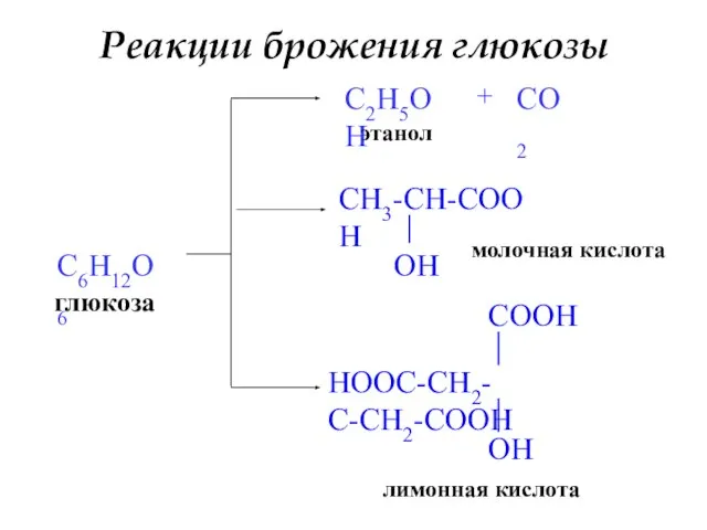 Реакции брожения глюкозы глюкоза C6H12O6 C2H5OH этанол + CO2 молочная кислота лимонная кислота