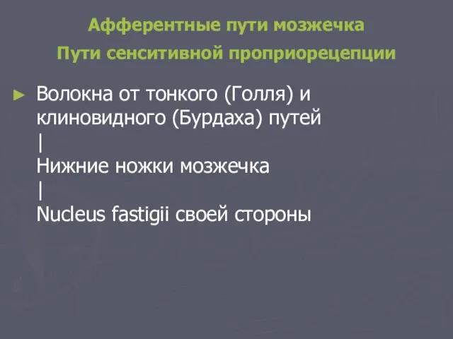 Афферентные пути мозжечка Пути сенситивной проприорецепции Волокна от тонкого (Голля) и клиновидного