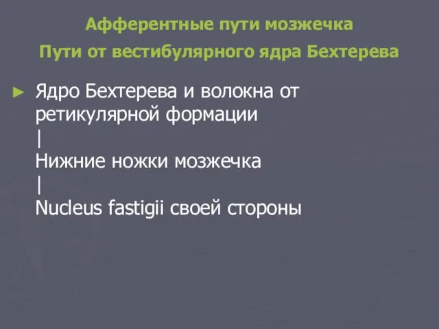 Афферентные пути мозжечка Пути от вестибулярного ядра Бехтерева Ядро Бехтерева и волокна