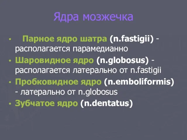 Ядра мозжечка Парное ядро шатра (n.fastigii) - располагается парамедианно Шаровидное ядро (n.globosus)