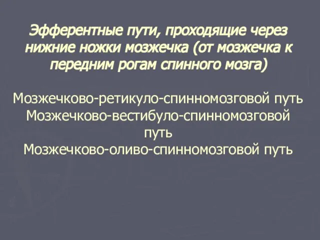 Эфферентные пути, проходящие через нижние ножки мозжечка (от мозжечка к передним рогам