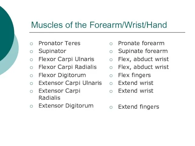 Muscles of the Forearm/Wrist/Hand Pronator Teres Supinator Flexor Carpi Ulnaris Flexor Carpi