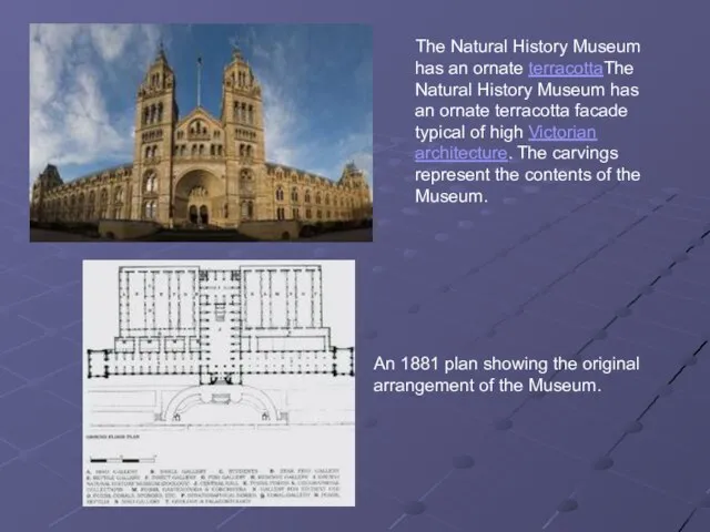 The Natural History Museum has an ornate terracottaThe Natural History Museum has