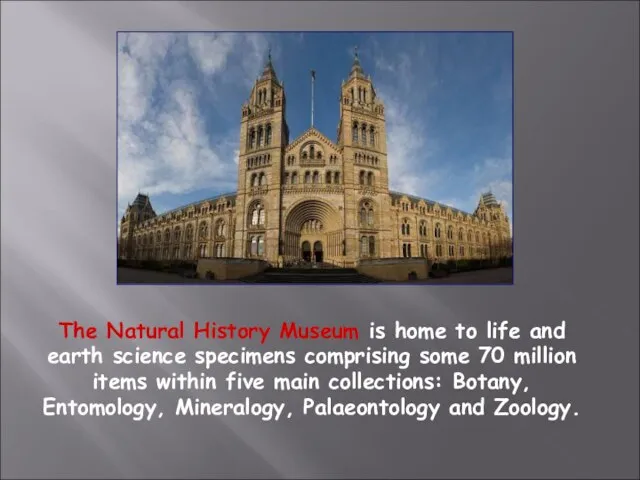 The Natural History Museum is home to life and earth science specimens