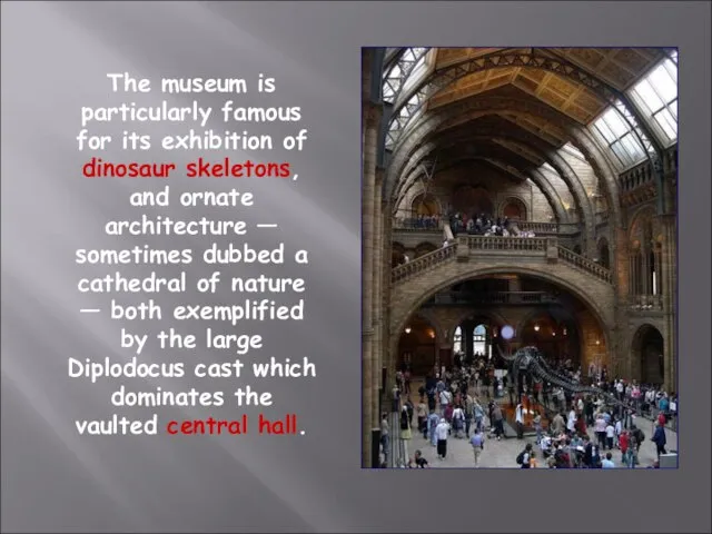 The museum is particularly famous for its exhibition of dinosaur skeletons, and