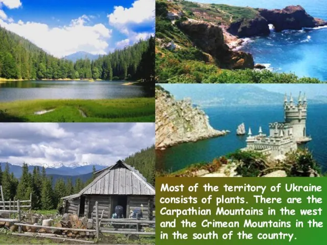 Most of the territory of Ukraine consists of plants. There are the