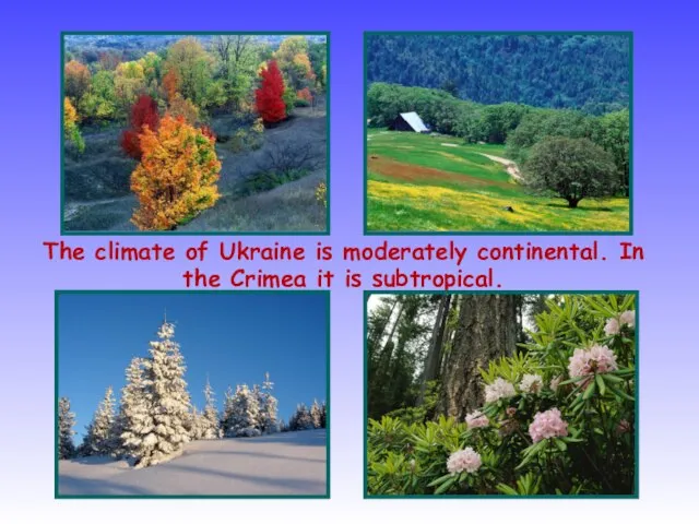 The climate of Ukraine is moderately continental. In the Crimea it is subtropical.