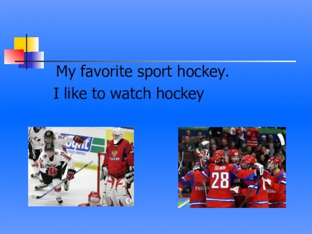 My favorite sport hockey. I like to watch hockey
