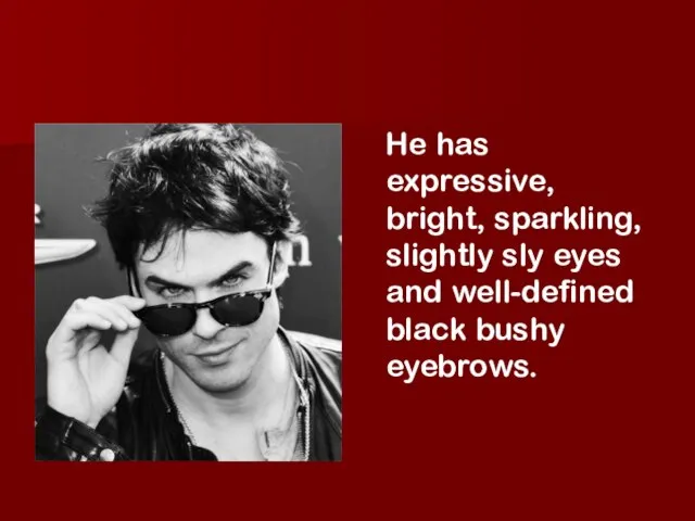 He has expressive, bright, sparkling, slightly sly eyes and well-defined black bushy eyebrows.