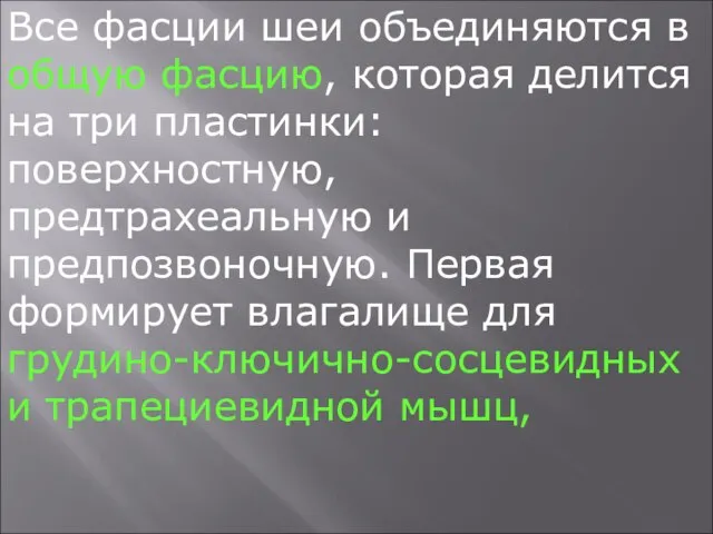 Все фасции шеи объединяются в общую фасцию, которая делится на три пластинки: