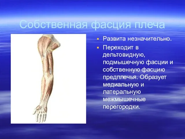 Собственная фасция плеча Развита незначительно. Переходит в дельтовидную, подмышечную фасции и собственную