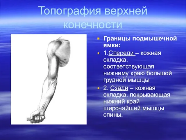 Топография верхней конечности Границы подмышечной ямки: 1.Спереди – кожная складка, соответствующая нижнему