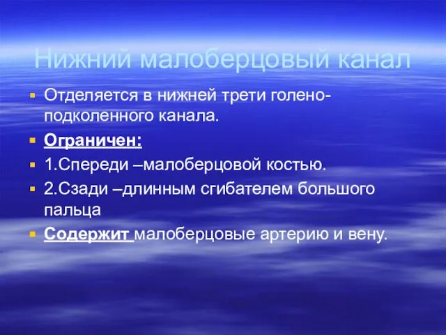 Нижний малоберцовый канал Отделяется в нижней трети голено-подколенного канала. Ограничен: 1.Спереди –малоберцовой