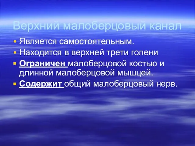 Верхний малоберцовый канал Является самостоятельным. Находится в верхней трети голени Ограничен малоберцовой