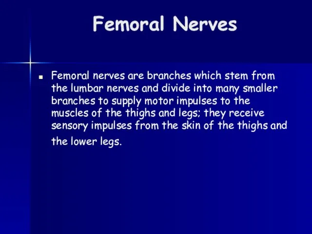 Femoral Nerves Femoral nerves are branches which stem from the lumbar nerves