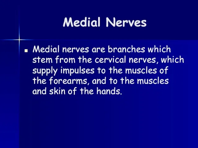 Medial Nerves Medial nerves are branches which stem from the cervical nerves,