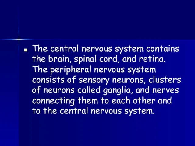 The central nervous system contains the brain, spinal cord, and retina. The