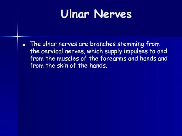 Ulnar Nerves The ulnar nerves are branches stemming from the cervical nerves,