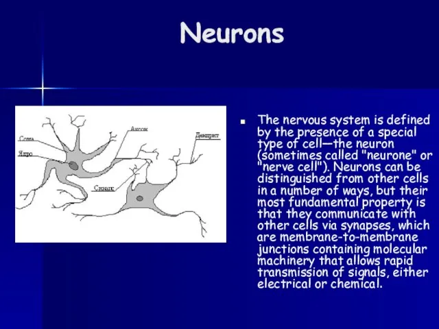 Neurons The nervous system is defined by the presence of a special