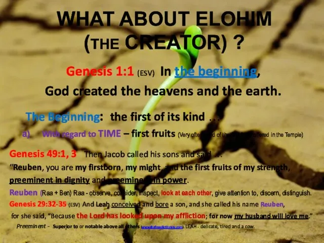 WHAT ABOUT ELOHIM (THE CREATOR) ? Genesis 1:1 (ESV) In the beginning,